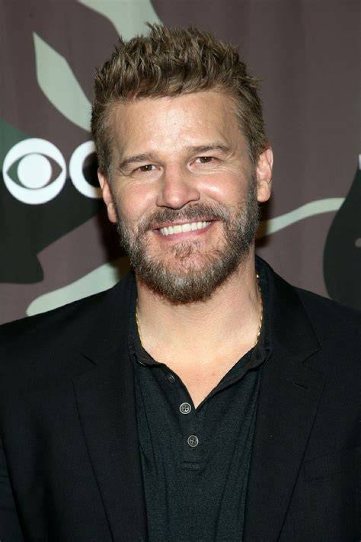David Boreanaz from Celeb Crushes We'll Never Get Over E! News