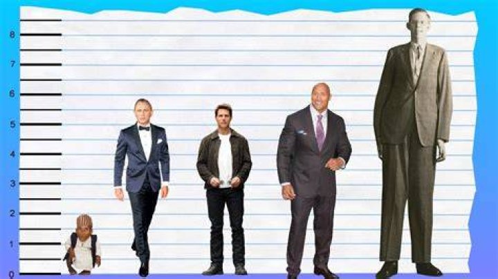 How Tall Is Daniel Craig Compared to Other 'James Bond' Actors?