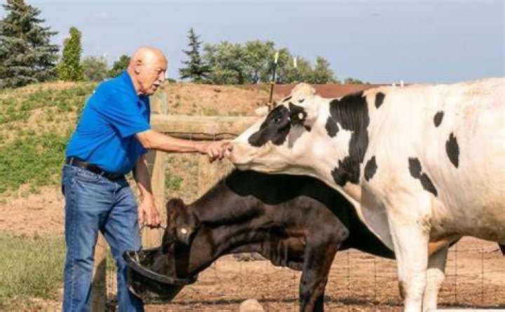 Uncover The Secrets Of Dr. Pol's Salary Per Episode